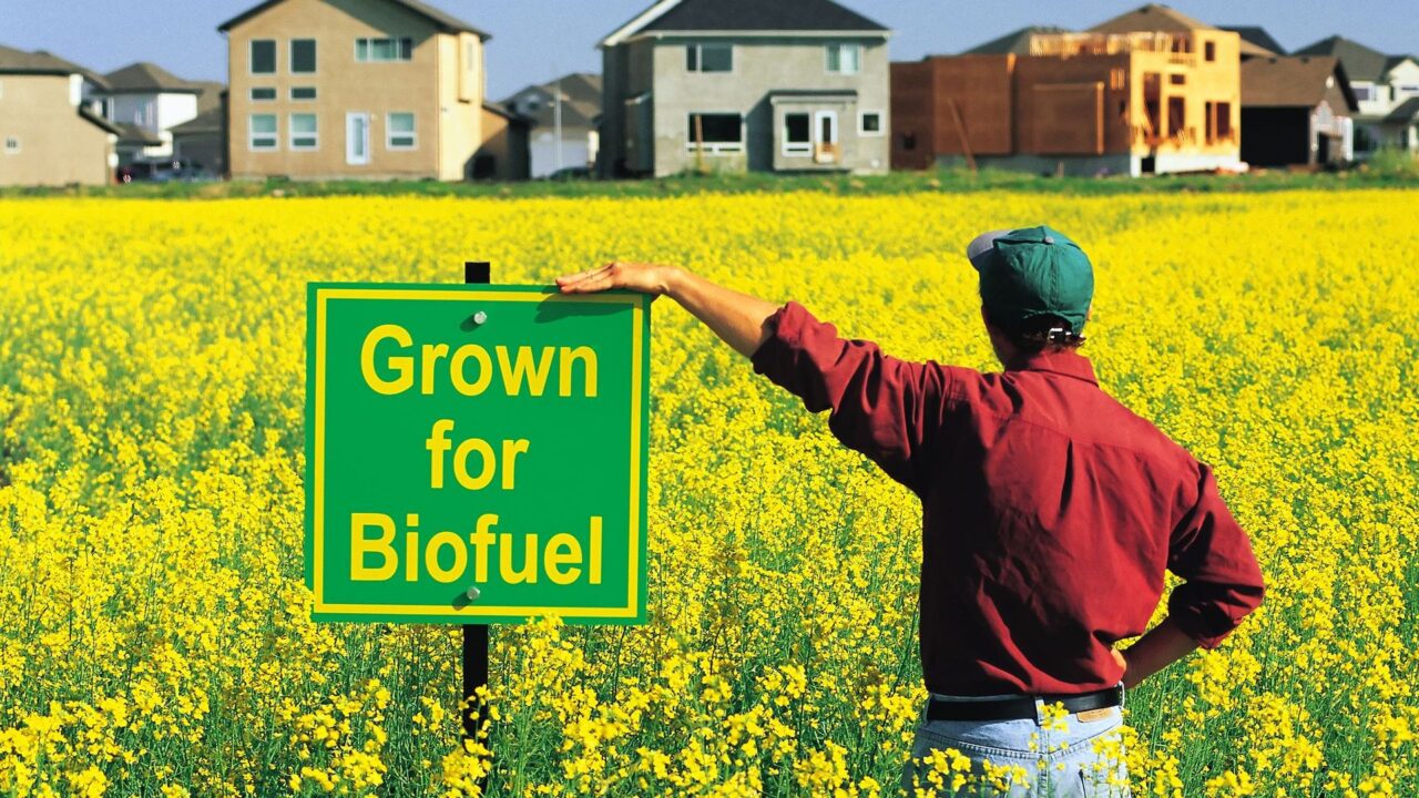 biofuels