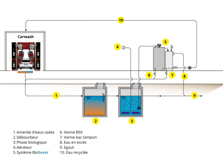 le processus du système biologique de recyclage des eaux dans une infographie.