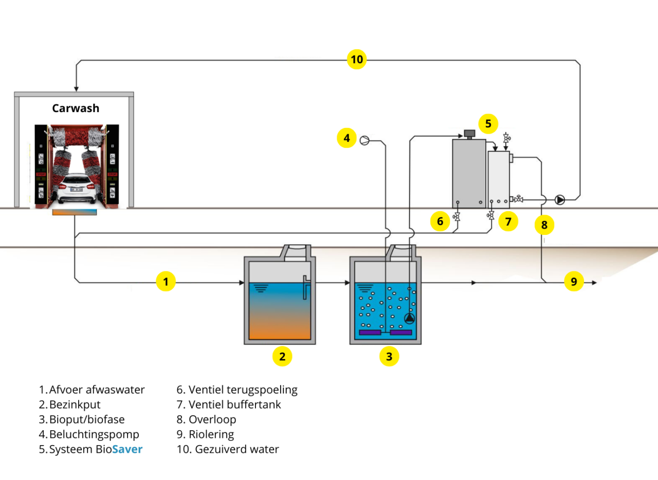 Infographic van het de werking van het biologisch waterzuiveringssysteem.
