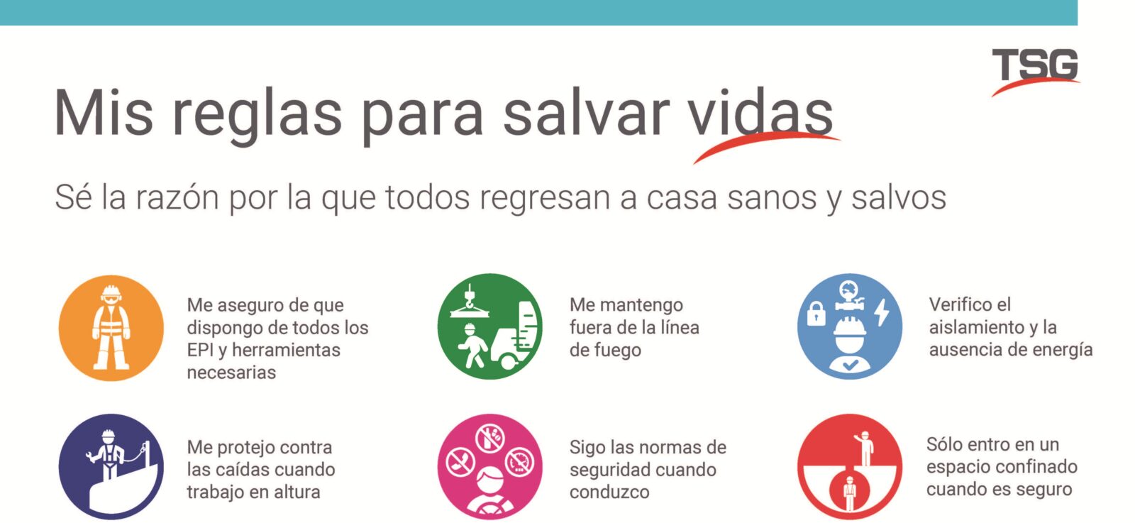 Seguridas-TSG-Iberica